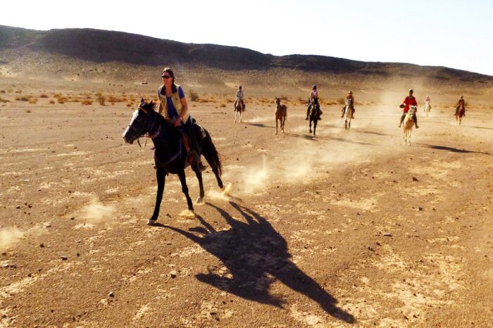 Cavallo nel deserto da Sharm