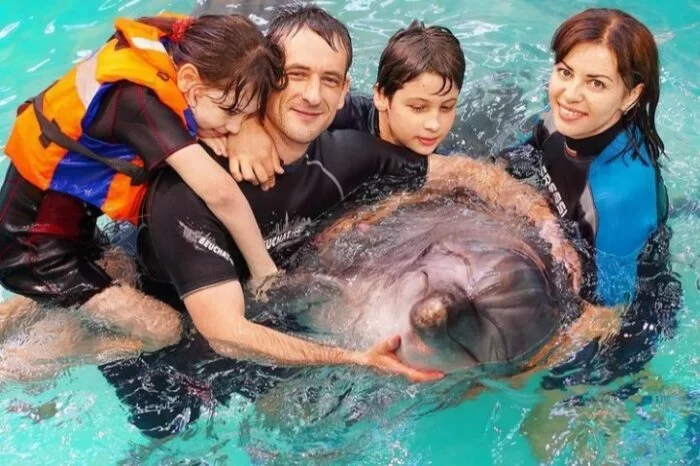 Nuotare con i Delfini a Sharm el Sheikh