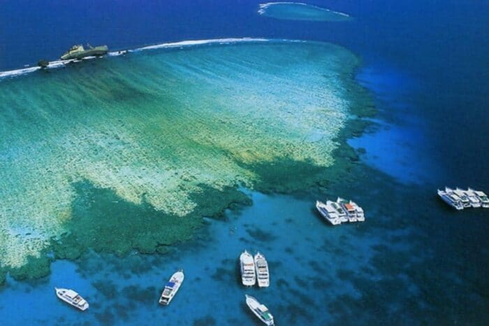 Barca all’isola di Tiran, Snorkeling Sharm el Sheikh