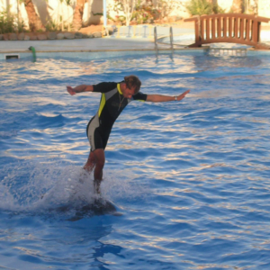 Spettacolo con i Delfini a Sharm El Sheikh