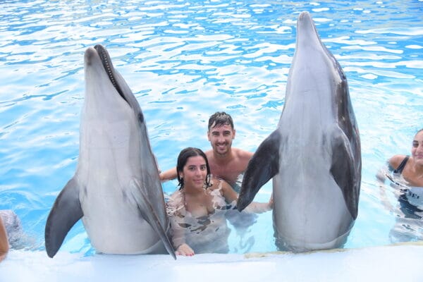 Nuotare con i delfini a Sharm El Sheikh – esperienza unica per famiglie