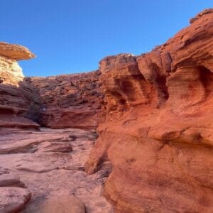 Jeep Safari al Canyon Colorato & Blue Hole – Snorkeling da Sharm