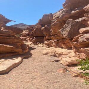 Jeep Safari al Canyon Colorato & Blue Hole – Snorkeling da Sharm