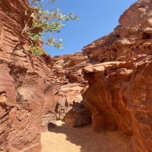 Jeep Safari al Canyon Colorato & Blue Hole – Snorkeling da Sharm