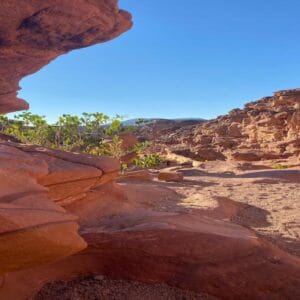 Jeep Safari al Canyon Colorato & Blue Hole – Snorkeling da Sharm