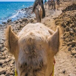 Jeep Safari al Canyon Colorato & Blue Hole – Snorkeling da Sharm