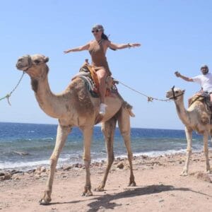 Jeep Safari al Canyon Colorato & Blue Hole – Snorkeling da Sharm