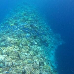 Jeep Safari al Canyon Colorato & Blue Hole – Snorkeling da Sharm