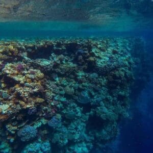 Jeep Safari al Canyon Colorato & Blue Hole – Snorkeling da Sharm